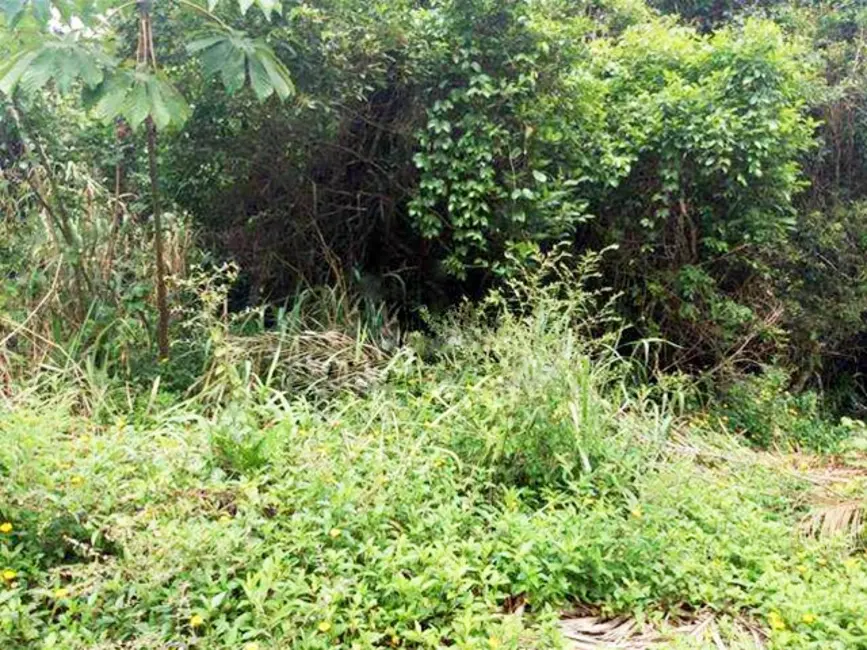 Foto 7 de Terreno / Lote à venda, 482m2 em Peruibe - SP