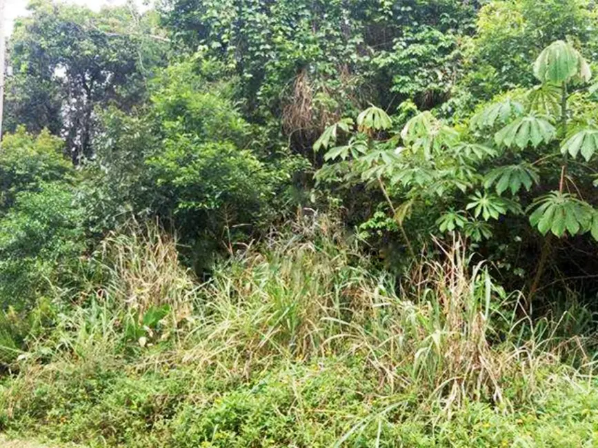 Foto 6 de Terreno / Lote à venda, 482m2 em Peruibe - SP