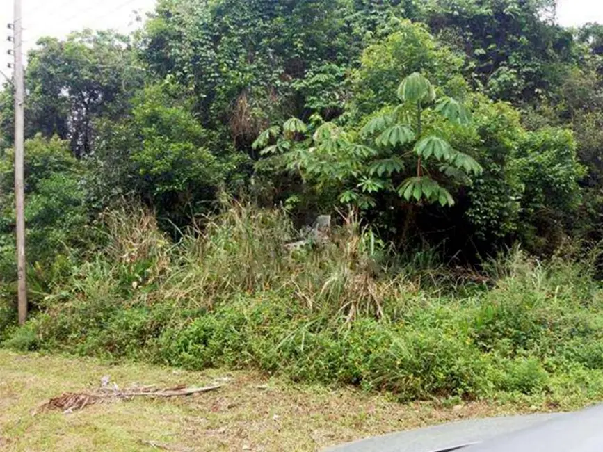Foto 5 de Terreno / Lote à venda, 482m2 em Peruibe - SP
