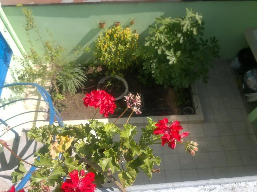 Foto 3 de Casa com 3 quartos à venda, 200m2 em Vila São Pedro, Santo Andre - SP