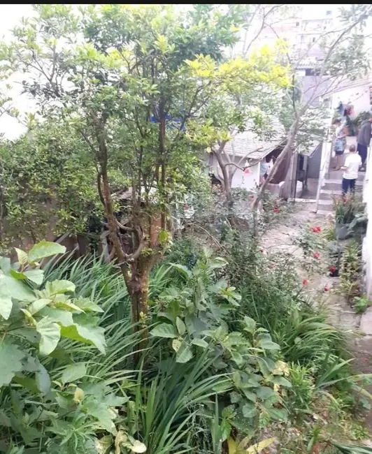 Foto 1 de Terreno / Lote à venda, 325m2 em Vila Eldízia, Santo Andre - SP