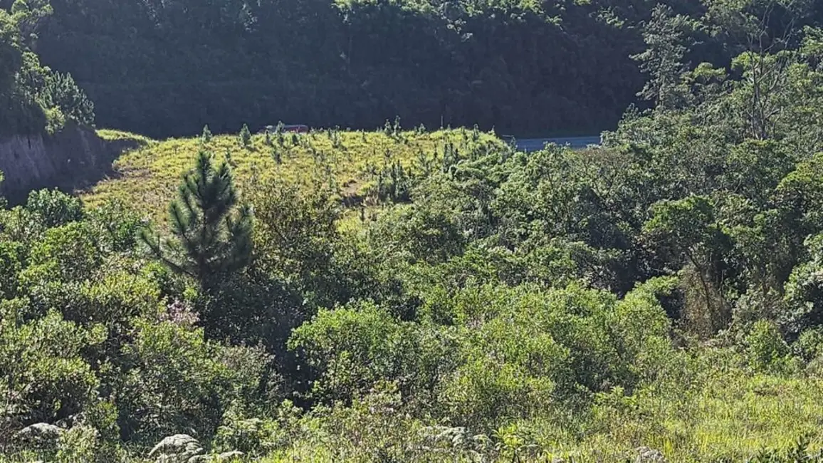 Foto 8 de Sala Comercial à venda, 20424m2 em Ribeirao Pires - SP
