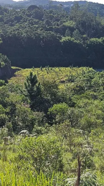 Foto 9 de Sala Comercial à venda, 20424m2 em Ribeirao Pires - SP