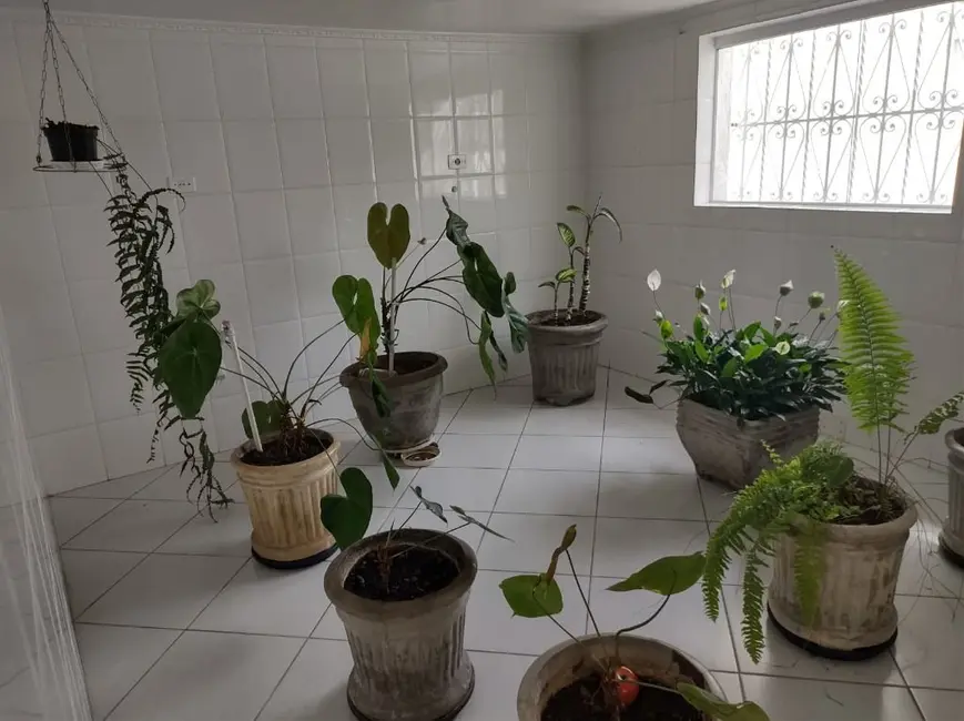 Foto 7 de Sobrado com 2 quartos para alugar, 210m2 em Vila Valparaíso, Santo Andre - SP