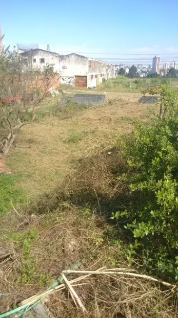 Foto 8 de Terreno / Lote para alugar, 2360m2 em Jardim Jamaica, Santo Andre - SP