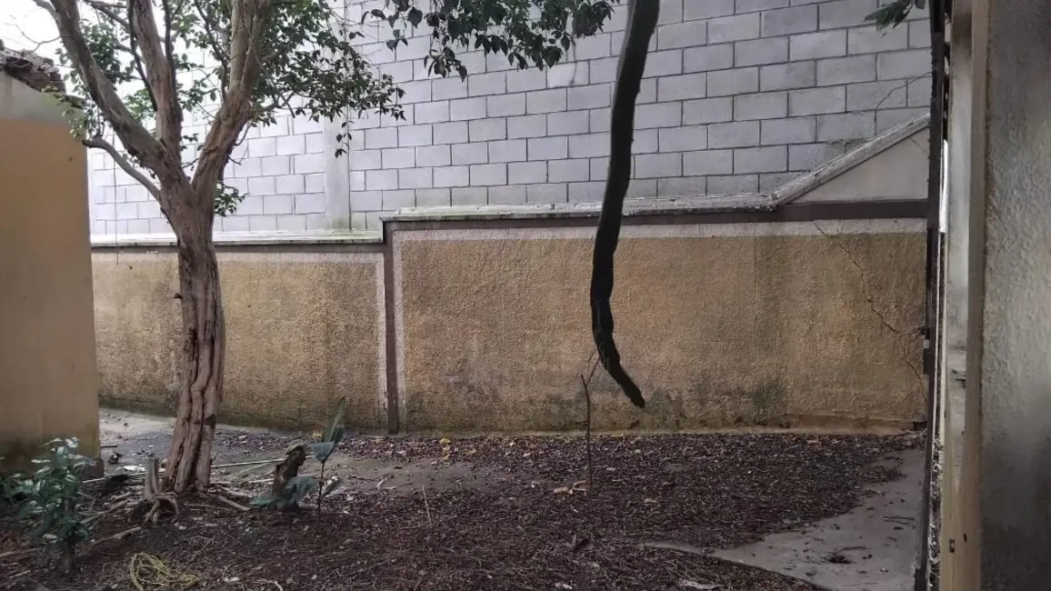 Foto 6 de Casa com 2 quartos à venda, 251m2 em Vila Alpina, Santo Andre - SP