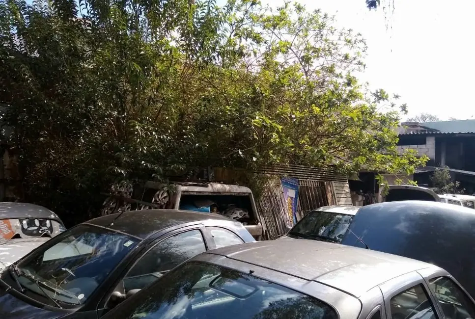 Foto 2 de Terreno / Lote à venda, 490m2 em Vila Gilda, Santo Andre - SP