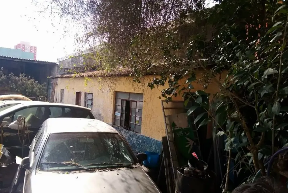 Foto 3 de Terreno / Lote à venda, 490m2 em Vila Gilda, Santo Andre - SP