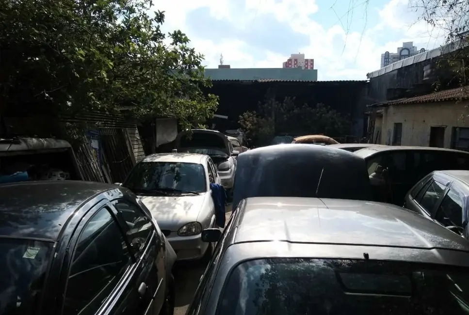 Foto 4 de Terreno / Lote à venda, 490m2 em Vila Gilda, Santo Andre - SP