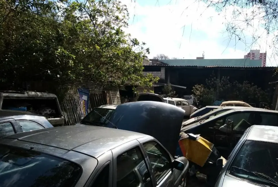 Foto 5 de Terreno / Lote à venda, 490m2 em Vila Gilda, Santo Andre - SP