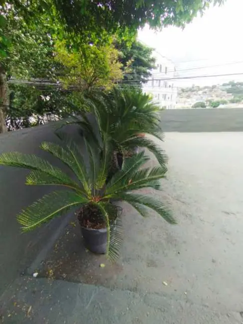 Casa com 5 quartos à venda, 264m2 em Rio De Janeiro - RJ - imagem 6 Foto 6 de Casa com 5 quartos à venda, 264m2 em Rio De Janeiro - RJ