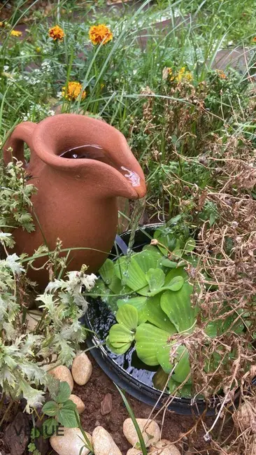 Sobrado com 4 quartos à venda, 340m2 em Vila Buenos Aires, São Paulo - SP - imagem 5 Foto 5 de Sobrado com 4 quartos à venda, 340m2 em Vila Buenos Aires, São Paulo - SP