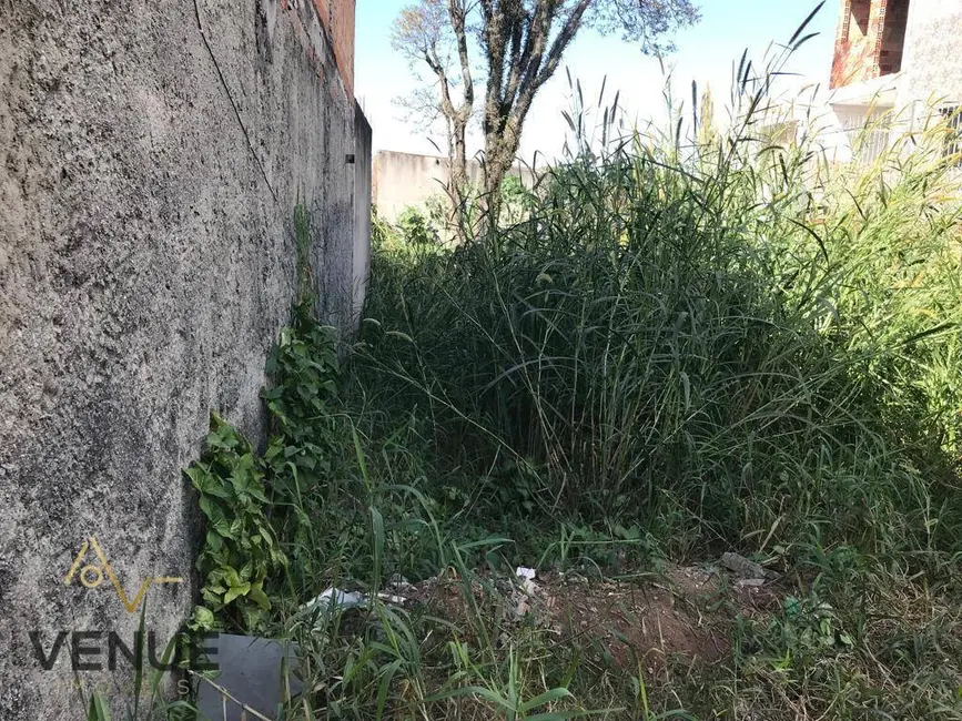 Foto 7 de Terreno / Lote à venda, 140m2 em Vila Cosmopolita, São Paulo - SP