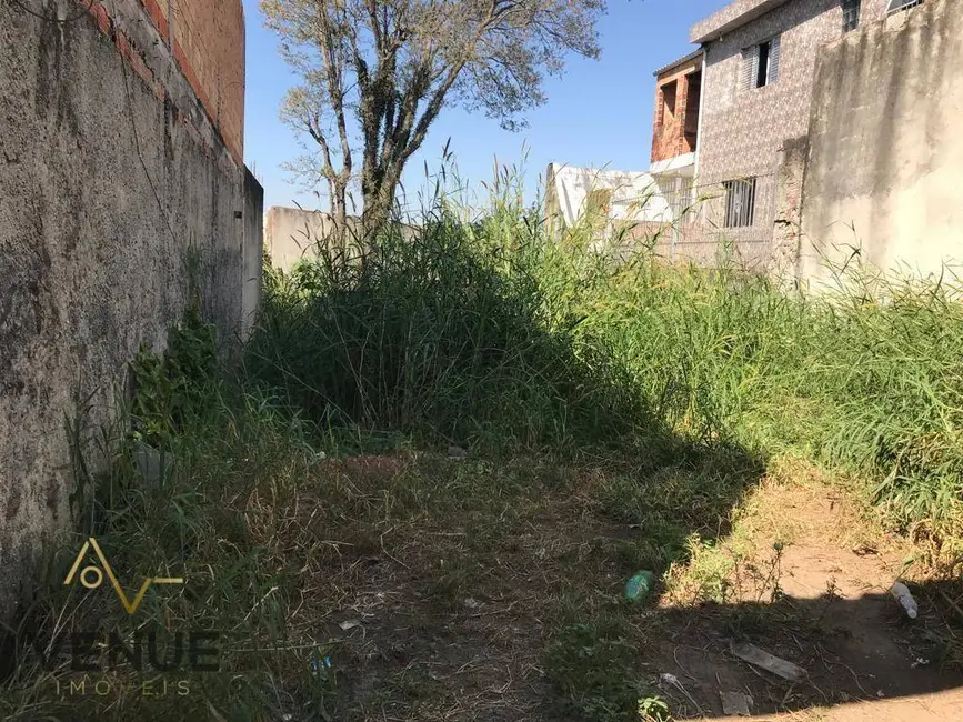 Foto 3 de Terreno / Lote à venda, 140m2 em Vila Cosmopolita, São Paulo - SP