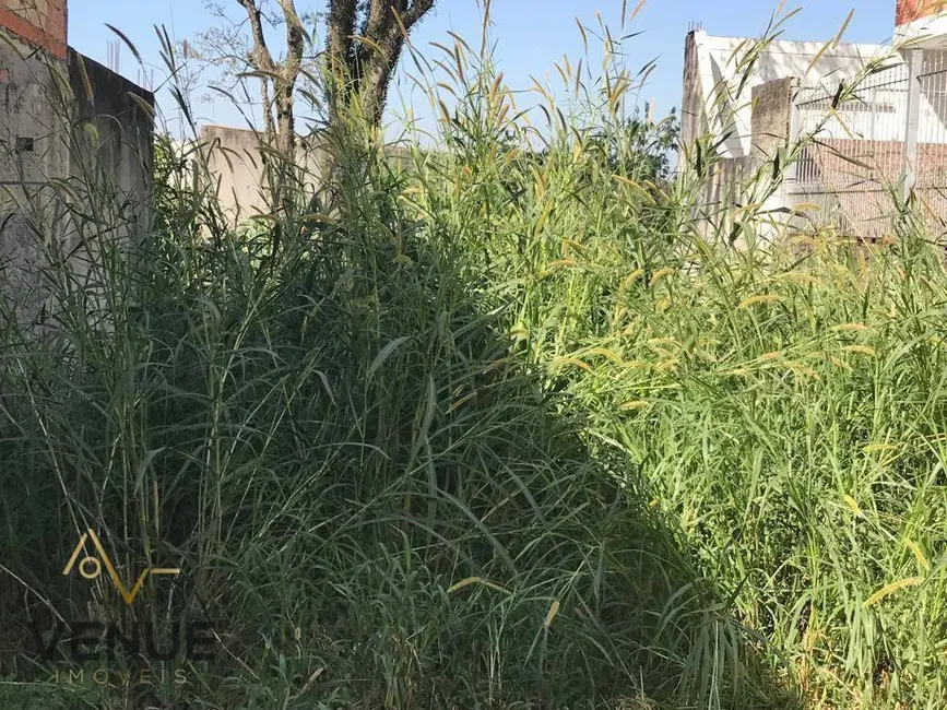 Foto 6 de Terreno / Lote à venda, 140m2 em Vila Cosmopolita, São Paulo - SP