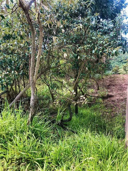 Foto 3 de Terreno / Lote à venda em Pau Arcado, Campo Limpo Paulista - SP