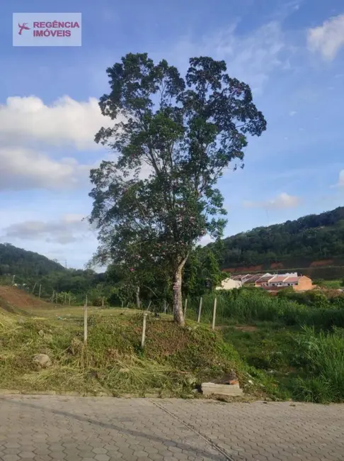 Foto 4 de Terreno / Lote à venda, 360m2 em Sao Francisco Do Sul - SC