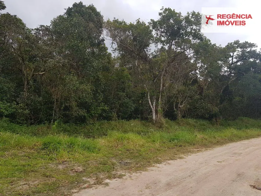 Foto 3 de Terreno / Lote à venda, 5000m2 em Sao Francisco Do Sul - SC