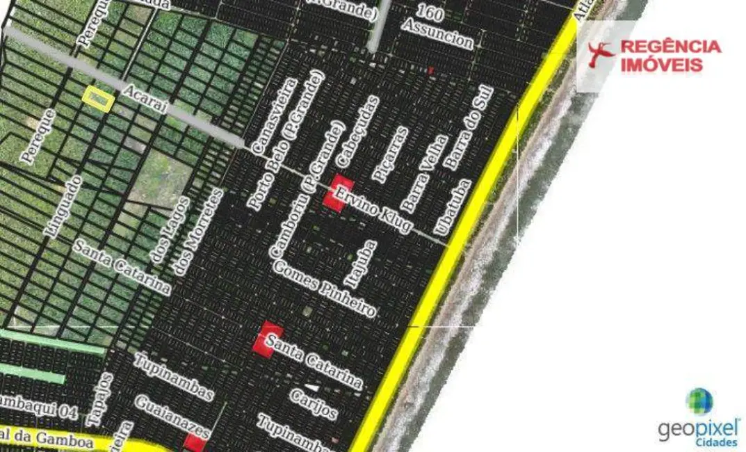 Foto 4 de Terreno / Lote à venda, 5000m2 em Sao Francisco Do Sul - SC