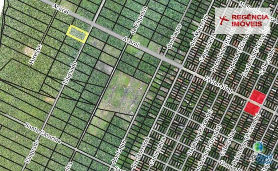 Foto 5 de Terreno / Lote à venda, 5000m2 em Sao Francisco Do Sul - SC