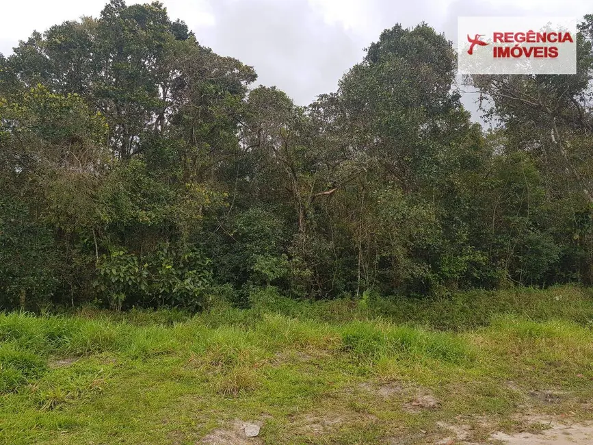 Foto 6 de Terreno / Lote à venda, 5000m2 em Sao Francisco Do Sul - SC