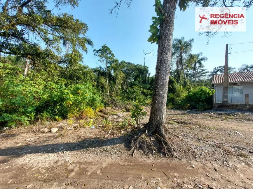 Foto 6 de Sala Comercial à venda, 34399m2 em Sao Francisco Do Sul - SC