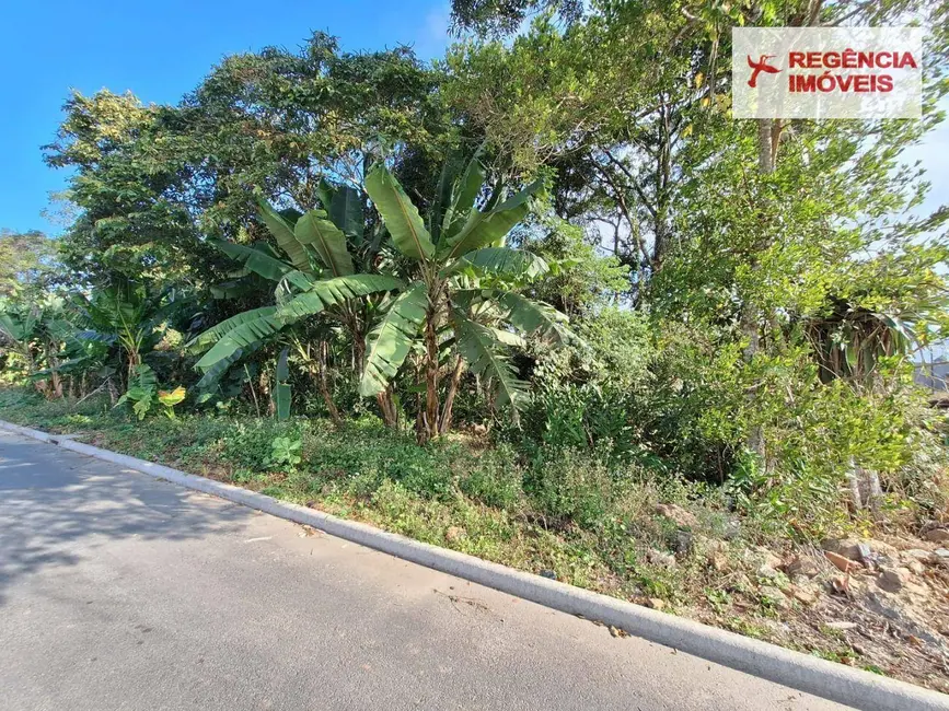 Foto 9 de Terreno / Lote à venda, 360m2 em Ubatuba, Sao Francisco Do Sul - SC