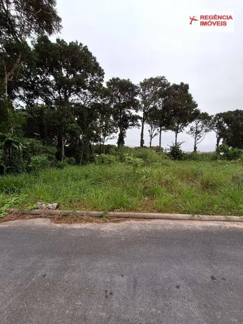 Foto 3 de Terreno / Lote à venda, 721m2 em Ubatuba, Sao Francisco Do Sul - SC