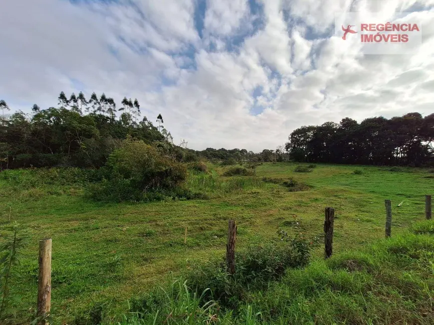 Foto 4 de Terreno / Lote à venda, 2000m2 em Sao Francisco Do Sul - SC