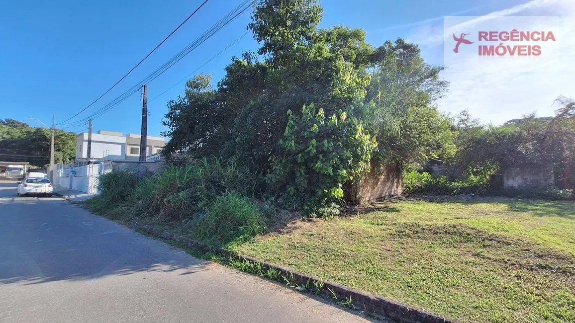 Foto 4 de Terreno / Lote à venda, 393m2 em Sao Francisco Do Sul - SC