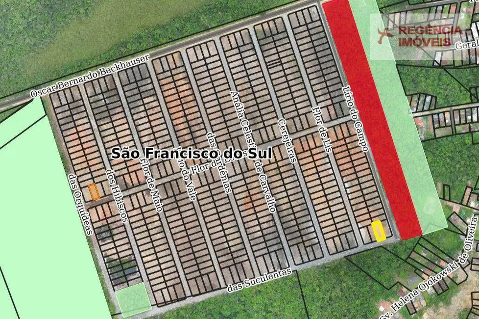 Foto 3 de Terreno / Lote à venda, 442m2 em Sao Francisco Do Sul - SC