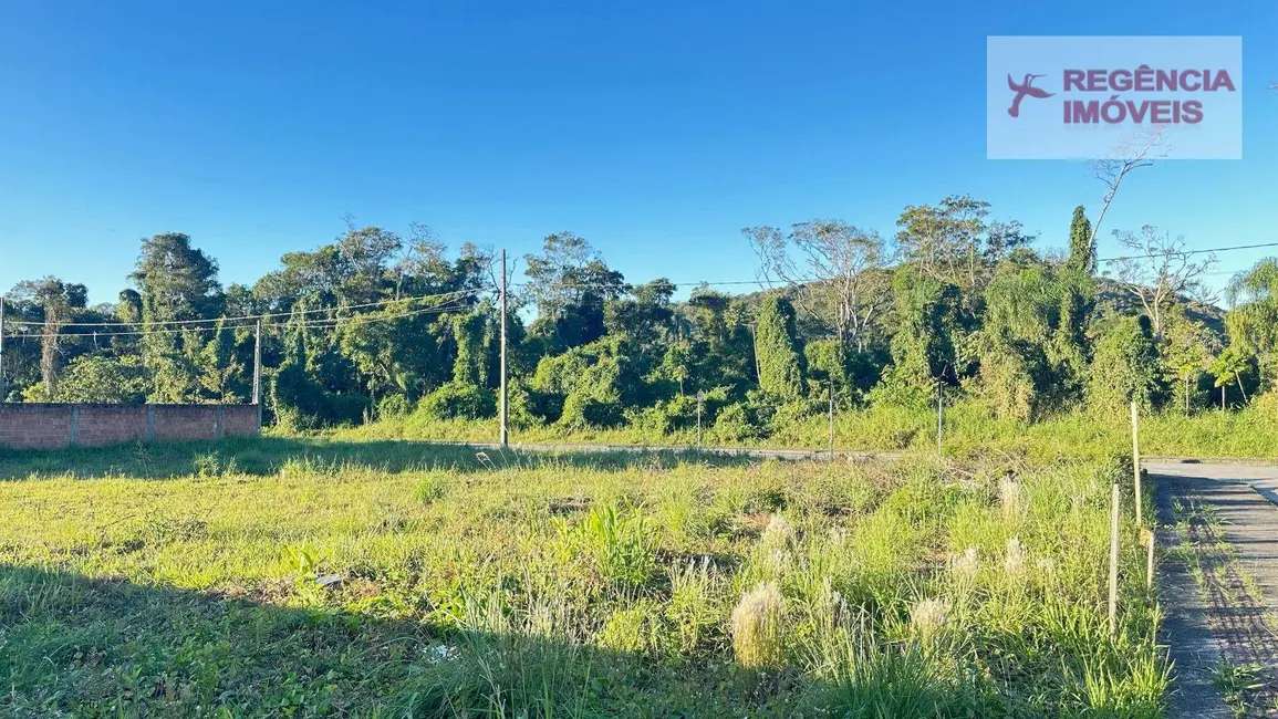 Foto 1 de Terreno / Lote à venda, 442m2 em Sao Francisco Do Sul - SC