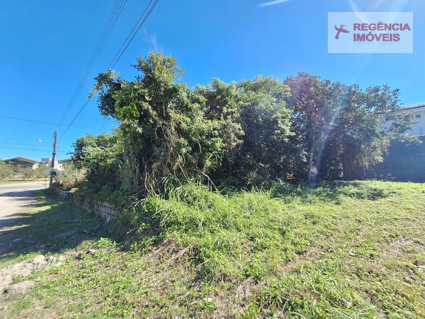 Foto 4 de Terreno / Lote à venda, 318m2 em Ubatuba, Sao Francisco Do Sul - SC