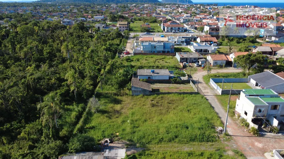 Foto 6 de Terreno / Lote à venda, 287m2 em Ubatuba, Sao Francisco Do Sul - SC