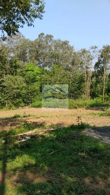 Chácara à venda, 4000m2 em Gravatai - RS - imagem 4 Foto 4 de Chácara à venda, 4000m2 em Gravatai - RS