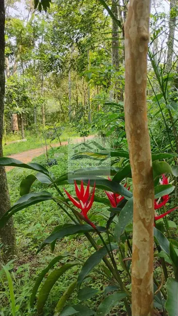 Chácara à venda, 4000m2 em Gravatai - RS - imagem 3 Foto 3 de Chácara à venda, 4000m2 em Gravatai - RS