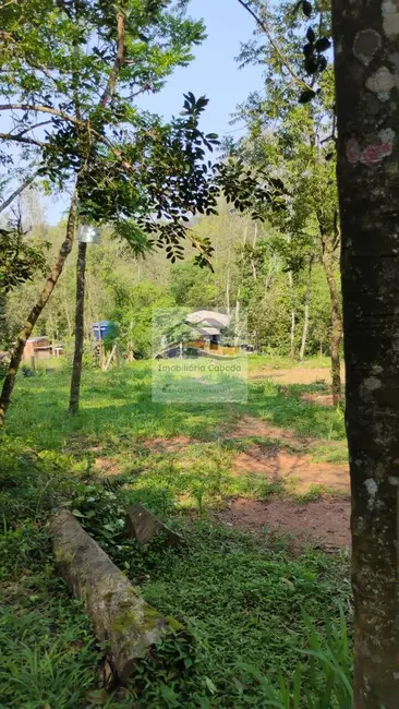 Chácara à venda, 4000m2 em Gravatai - RS - imagem 5 Foto 5 de Chácara à venda, 4000m2 em Gravatai - RS