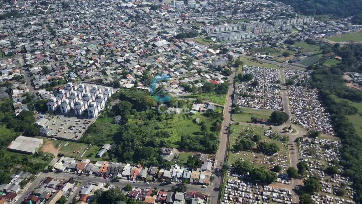 Terreno / Lote à venda, 16777215m2 em Lomba da Palmeira, Sapucaia Do Sul - RS - imagem 5 Foto 5 de Terreno / Lote à venda, 16777215m2 em Lomba da Palmeira, Sapucaia Do Sul - RS