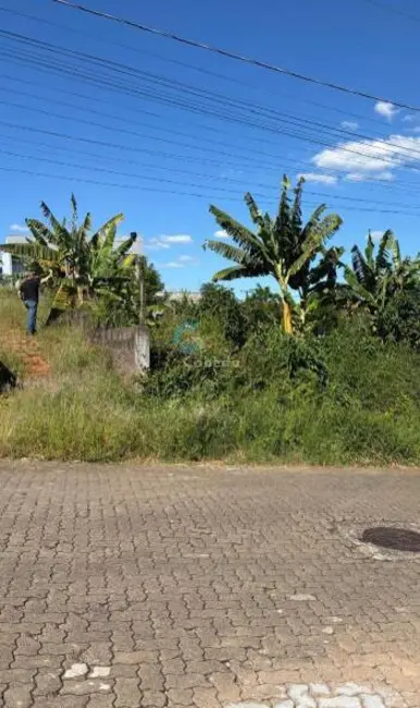 Terreno / Lote à venda, 354m2 em Freitas, Sapucaia Do Sul - RS - imagem 1 Foto 1 de Terreno / Lote à venda, 354m2 em Freitas, Sapucaia Do Sul - RS