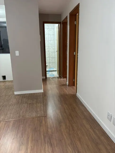 Foto 3 de Apartamento com 2 quartos à venda, 39m2 em Pasqualini, Sapucaia Do Sul - RS