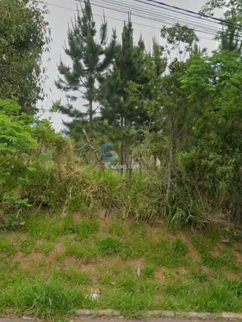 Terreno / Lote à venda, 300m2 em Lomba da Palmeira, Sapucaia Do Sul - RS - imagem 1 Foto 1 de Terreno / Lote à venda, 300m2 em Lomba da Palmeira, Sapucaia Do Sul - RS