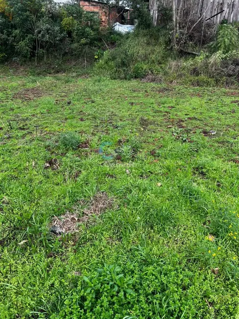 Terreno / Lote à venda em Costa do Morro, Sapucaia Do Sul - RS - imagem 5 Foto 5 de Terreno / Lote à venda em Costa do Morro, Sapucaia Do Sul - RS