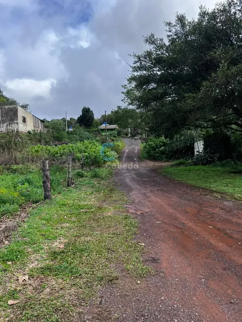 Terreno / Lote à venda em Costa do Morro, Sapucaia Do Sul - RS - imagem 6 Foto 6 de Terreno / Lote à venda em Costa do Morro, Sapucaia Do Sul - RS