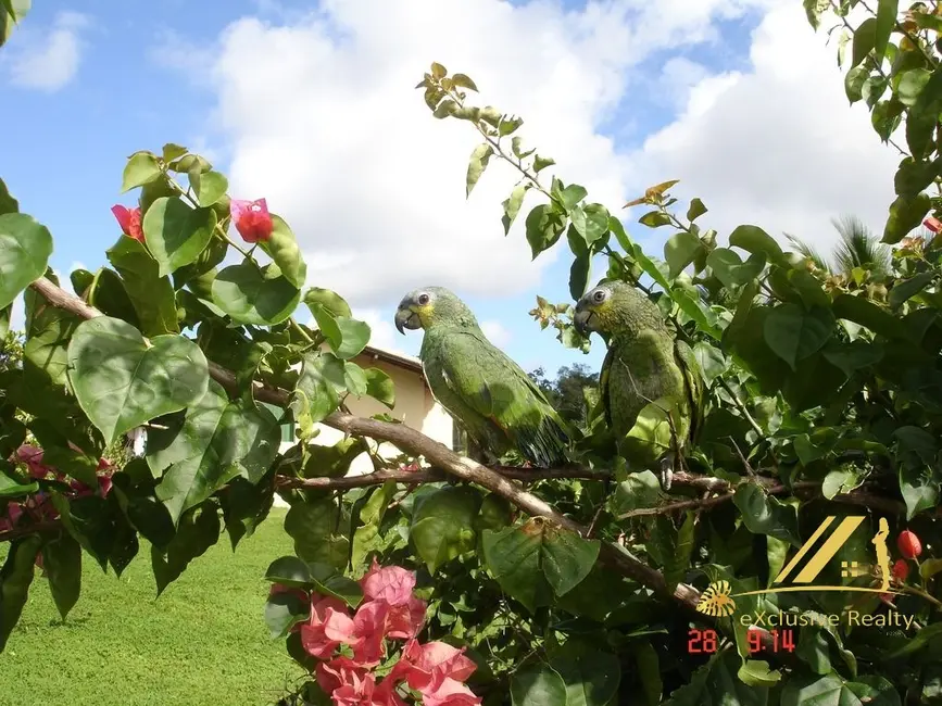 Foto 7 de Fazenda / Haras com 5 quartos à venda, 700m2 em Costa do Sauípe, Mata De Sao Joao - BA