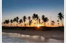 Imagem 14