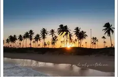 Imagem 13