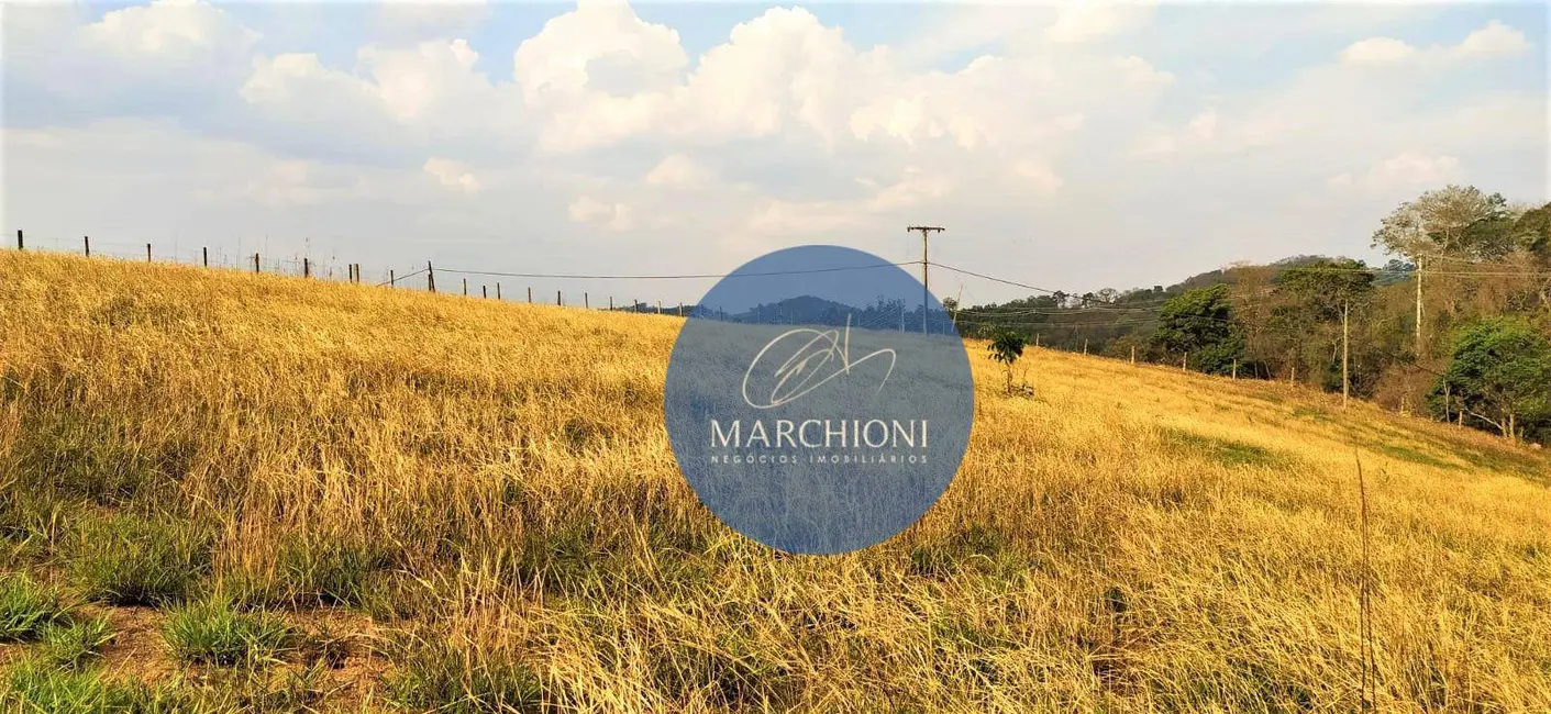 Foto 7 de Terreno / Lote à venda, 13000m2 em Pinhalzinho - SP