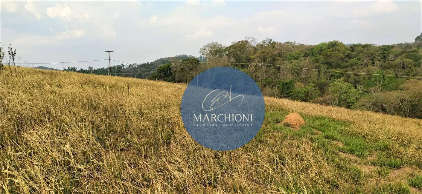 Foto 8 de Terreno / Lote à venda, 13000m2 em Pinhalzinho - SP