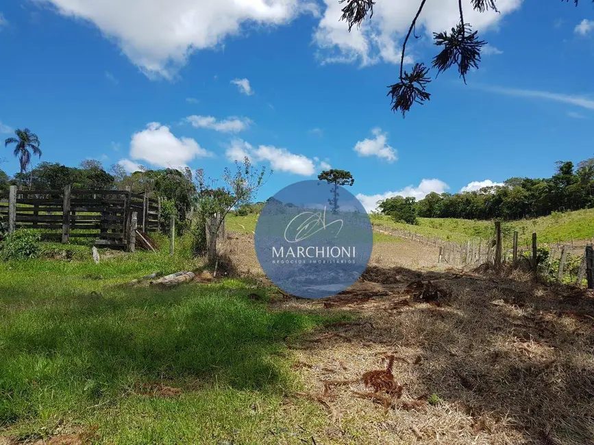 Terreno / Lote à venda, 20000m2 em Pinhalzinho - SP - imagem 8 Foto 8 de Terreno / Lote à venda, 20000m2 em Pinhalzinho - SP