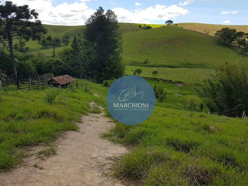 Terreno / Lote à venda, 20000m2 em Pinhalzinho - SP - imagem 9 Foto 9 de Terreno / Lote à venda, 20000m2 em Pinhalzinho - SP